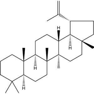 473 98 3 - BIORLAB