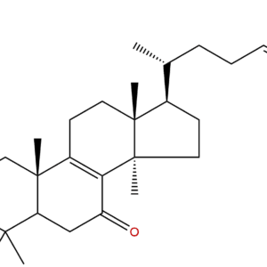 480439 84 7 - BIORLAB