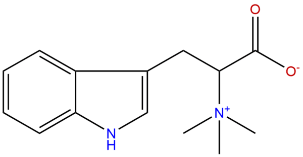 Hypaphorine