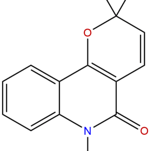 50333 13 6 - BIORLAB
