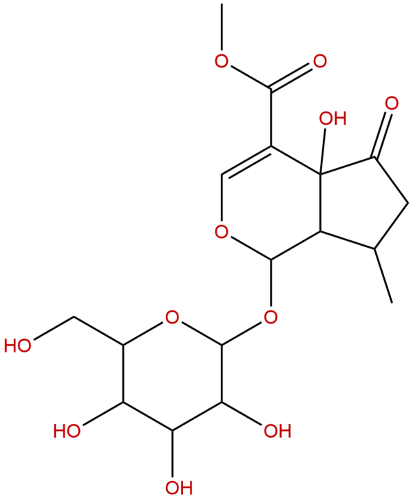 Hastatoside