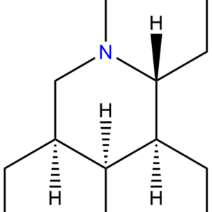 519 02 8 - BIORLAB