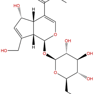 52613 28 2 - BIORLAB
