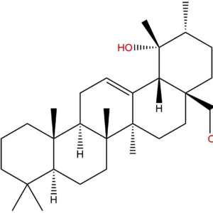 53155 25 2 - BIORLAB