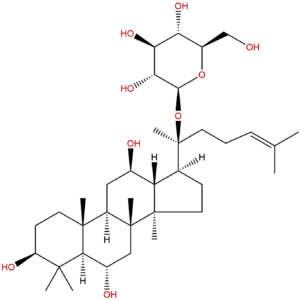 53963 43 2 - BIORLAB