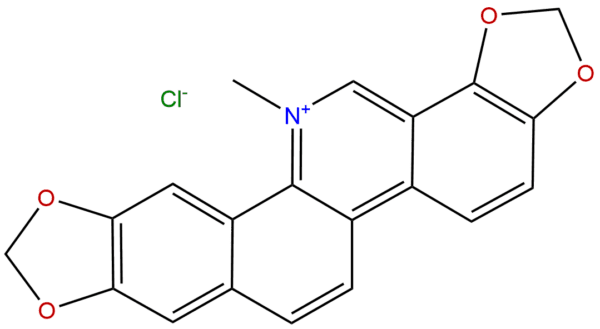 Sanguinarium Chloride