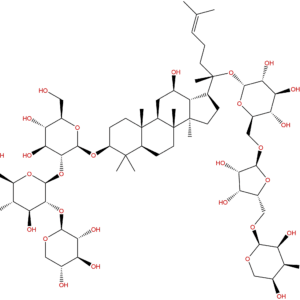 575446 95 6 - BIORLAB