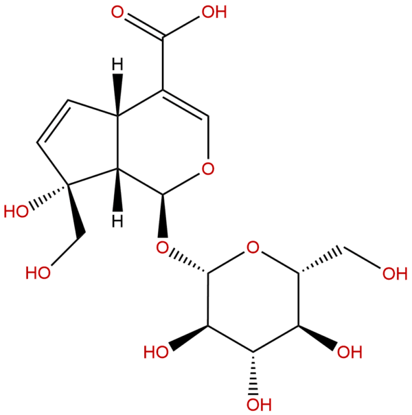 Monotropein