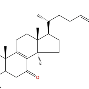 5a594f7888a980bf4d9d9b381e720325 - BIORLAB