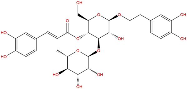 Verbascoside