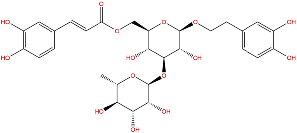 Isoacteoside