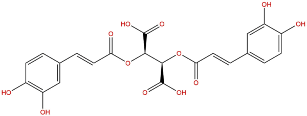 Chicoric acid