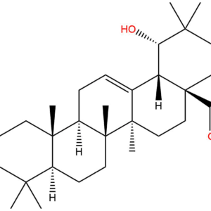 6696727d79e165827c3b4683cd2b9998 - BIORLAB