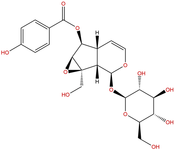 Catalposide