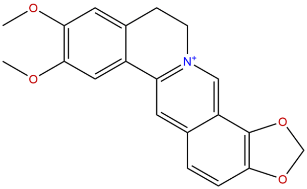 Epiberberine