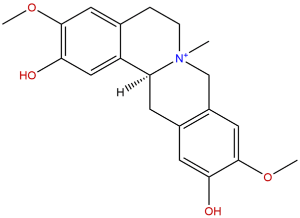 Phellodendrine