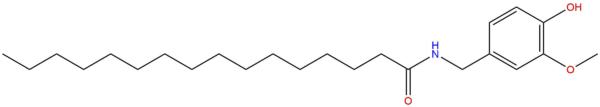 Palvanil