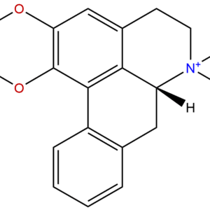 754919 24 9 - BIORLAB
