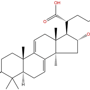 77012 31 8 - BIORLAB