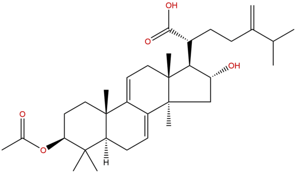 Dehydropachymic acid