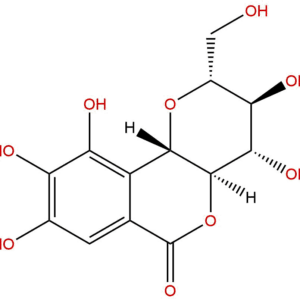 79595 97 4 - BIORLAB