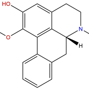 7cf9f44e6c99e6e36bb1ceeb5202a907 - BIORLAB