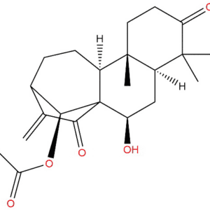 80508 81 2 - BIORLAB