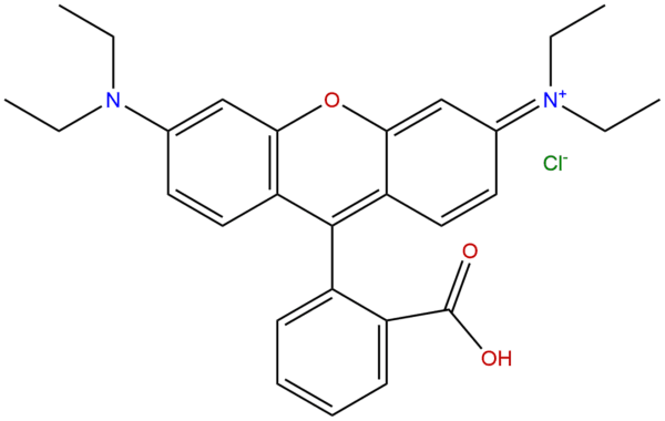 Rhodamine B