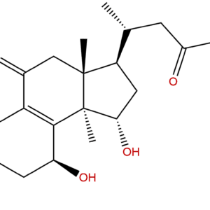 81907 62 2 - BIORLAB