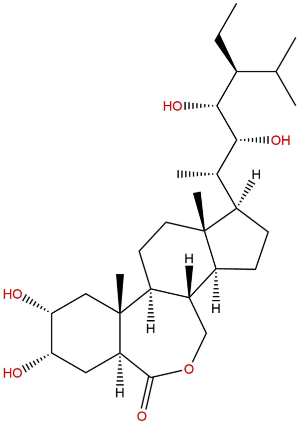 28-Homobrassinolide