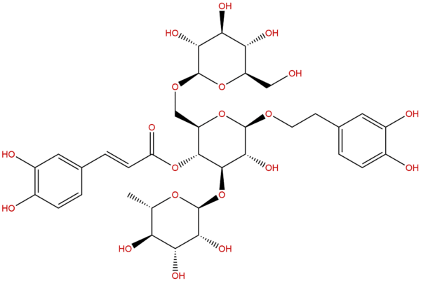 Echinacoside