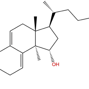 862893 75 2 - BIORLAB