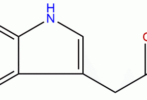 87 51 4 - BIORLAB