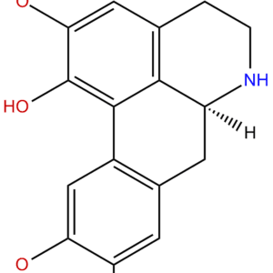 8f5d72ea516aed5f88831a651c8049b3 - BIORLAB