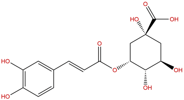 Neochlorogenic acid