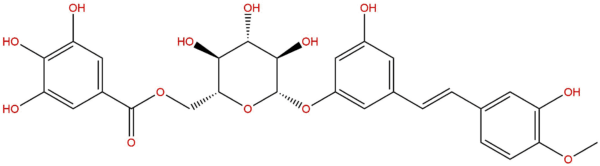 Rhaponticin 6''-O-gallate