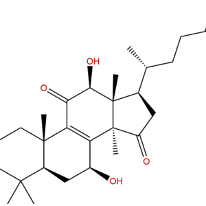 95311 95 8 - BIORLAB