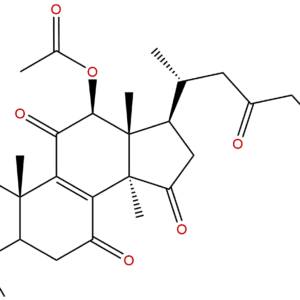 98665 19 1 - BIORLAB