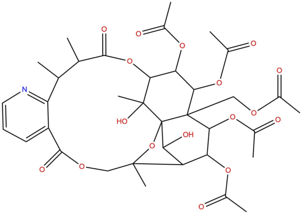 Neoeuonymine