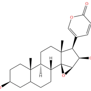 ae225ba8f630fdb85dcc1dec37749a9b - BIORLAB