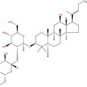 ae82d744c16dac874a6c6708b7aee05d - BIORLAB