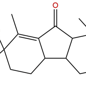 c0c97e59b6d48eb3b95fe47ac5045300 - BIORLAB