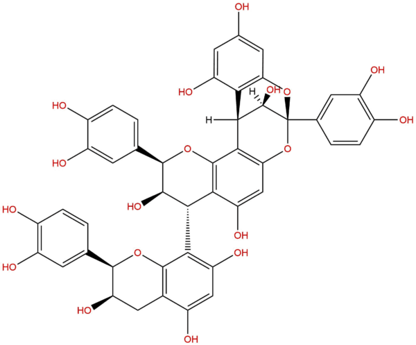 Cinnamtannin B1