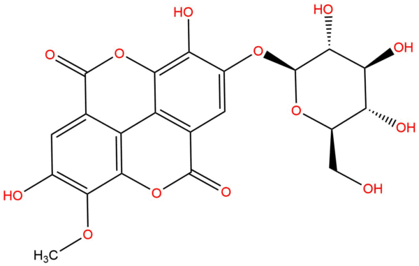 Stachyanthuside A