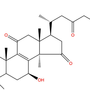 d864c6317343365dc6b57ff77f1cc906 - BIORLAB