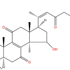 daf9b44dcafd0c17c88b622e51e54e44 - BIORLAB