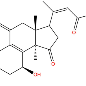 e2232c83ee81598dc7614338c843ae40 - BIORLAB