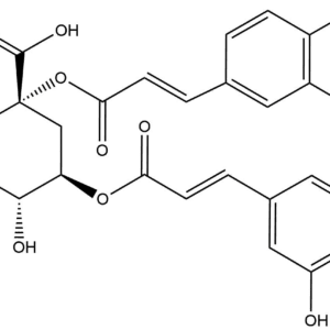 e2ee0b69af115e0cfaec15c1a8543d77 - BIORLAB