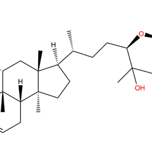 e4b24ed383b0c94261a9b83d9d6cf552 - BIORLAB
