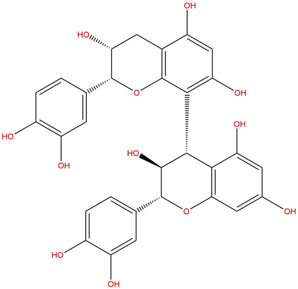 Procyanidin B4